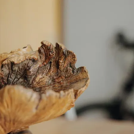 Casa Augusta - The Natural And Retreats