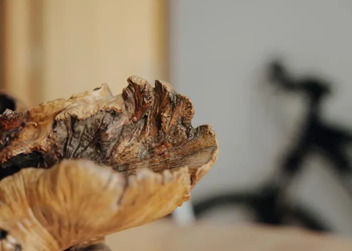 Casa Augusta - The Natural And Retreats